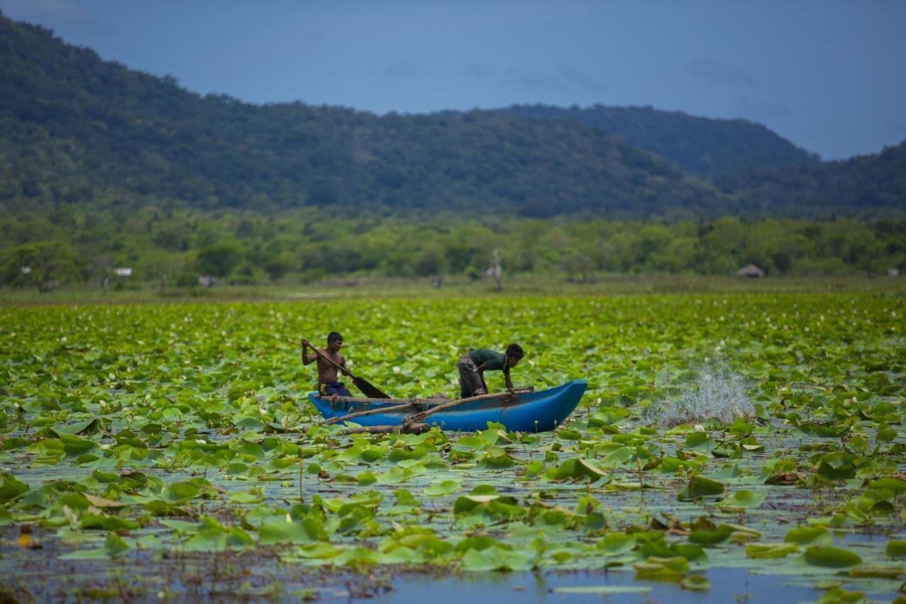 Grand Tamarind Lake Kataragama Ngoại thất bức ảnh