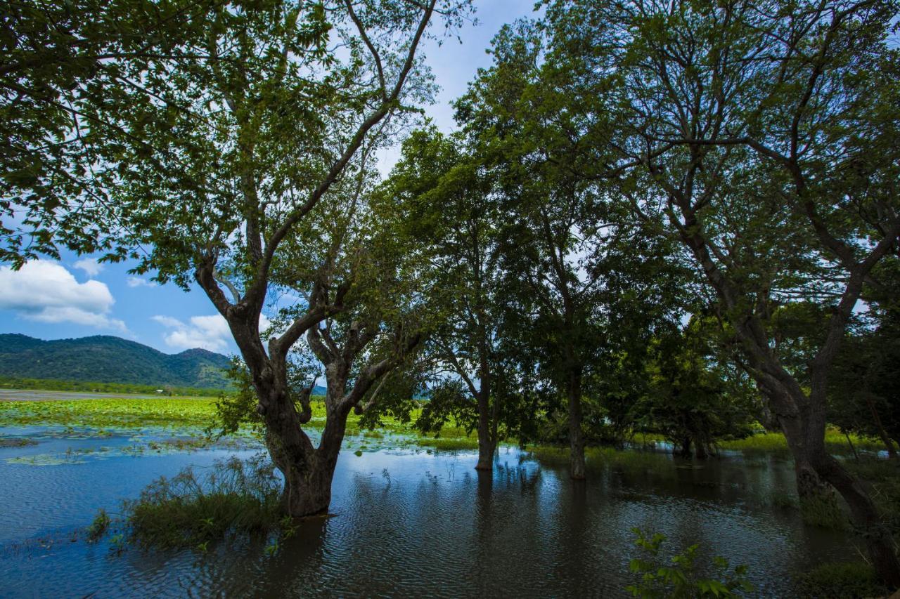 Grand Tamarind Lake Kataragama Ngoại thất bức ảnh